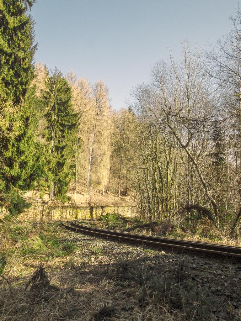 Daumenkino Brockenbahn / Flipbook railroad to the Brocken part I