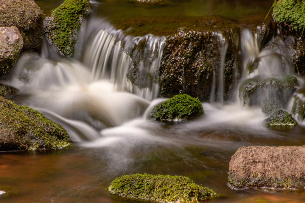 Feenschleier am Schwarzwasser
